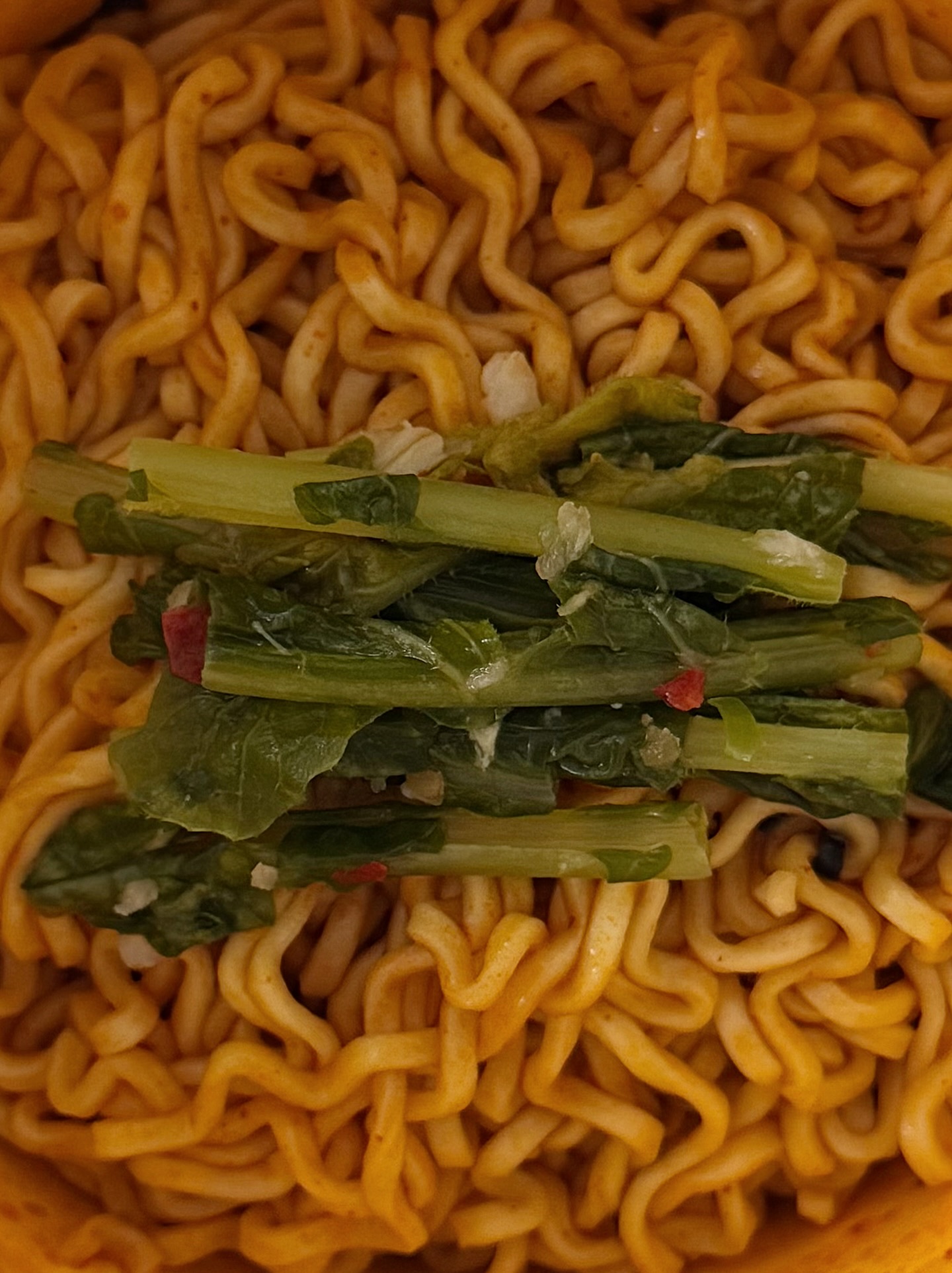 브이롭티 8