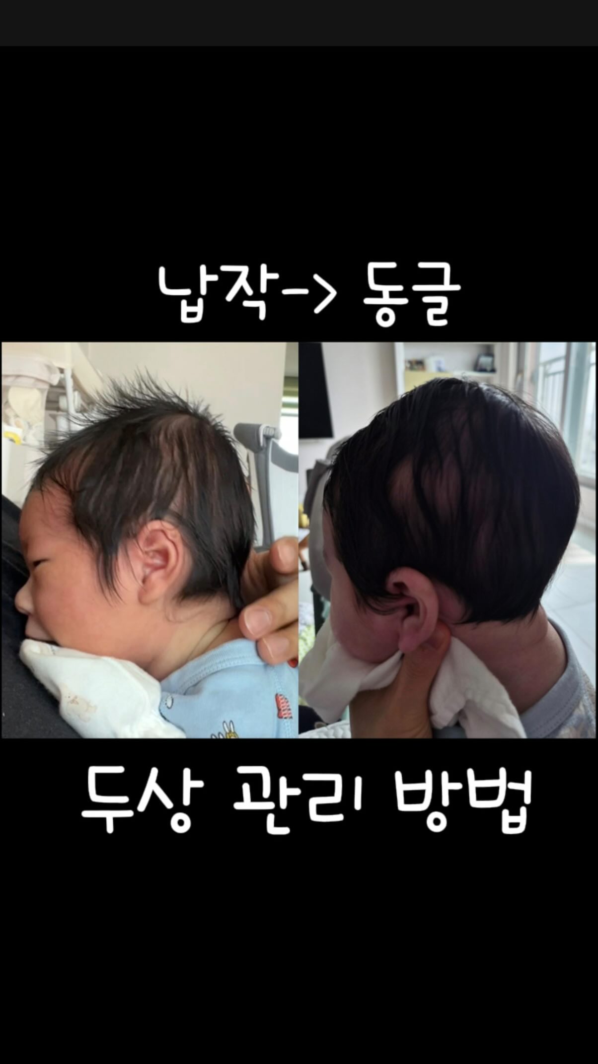 코리아 메모리얼 페스타