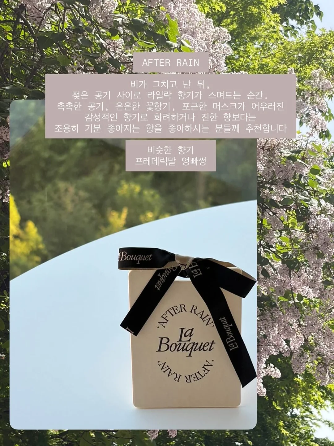 본 투 라이즈 링거 하프 슬리브, 숄더 버튼 래글런 롱슬리브, 리파인드 커브드 트라우저 2