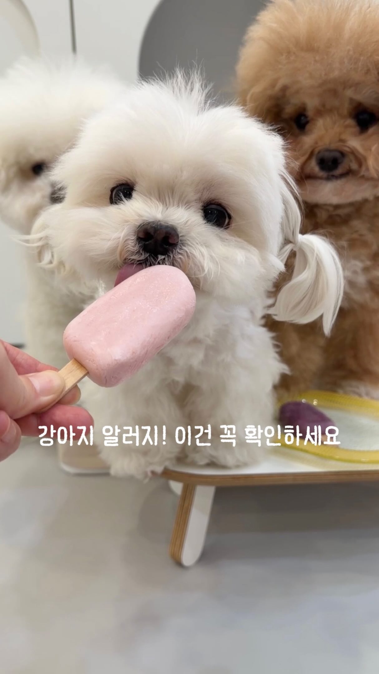 미국채ETF