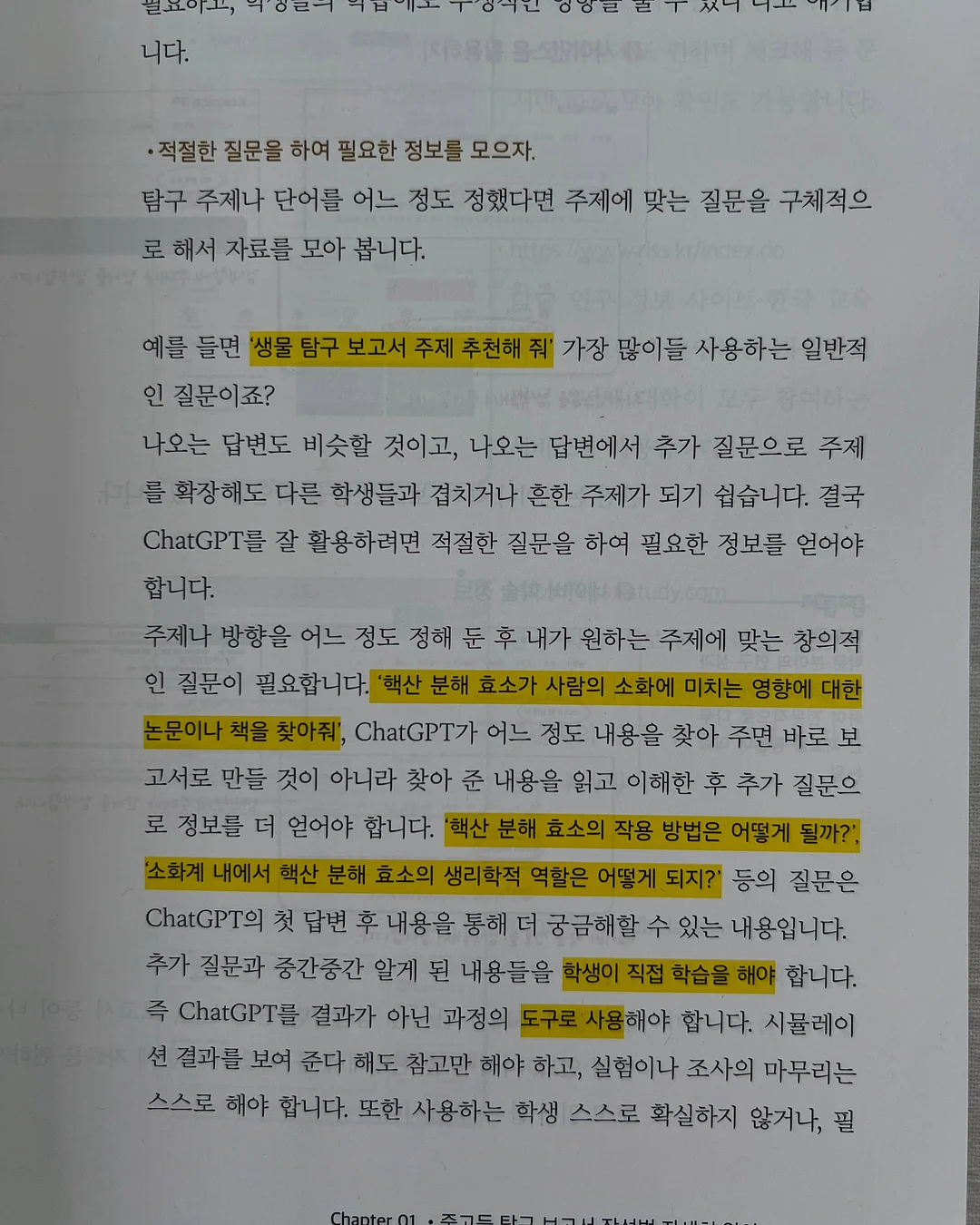 여름 데일리룩 18