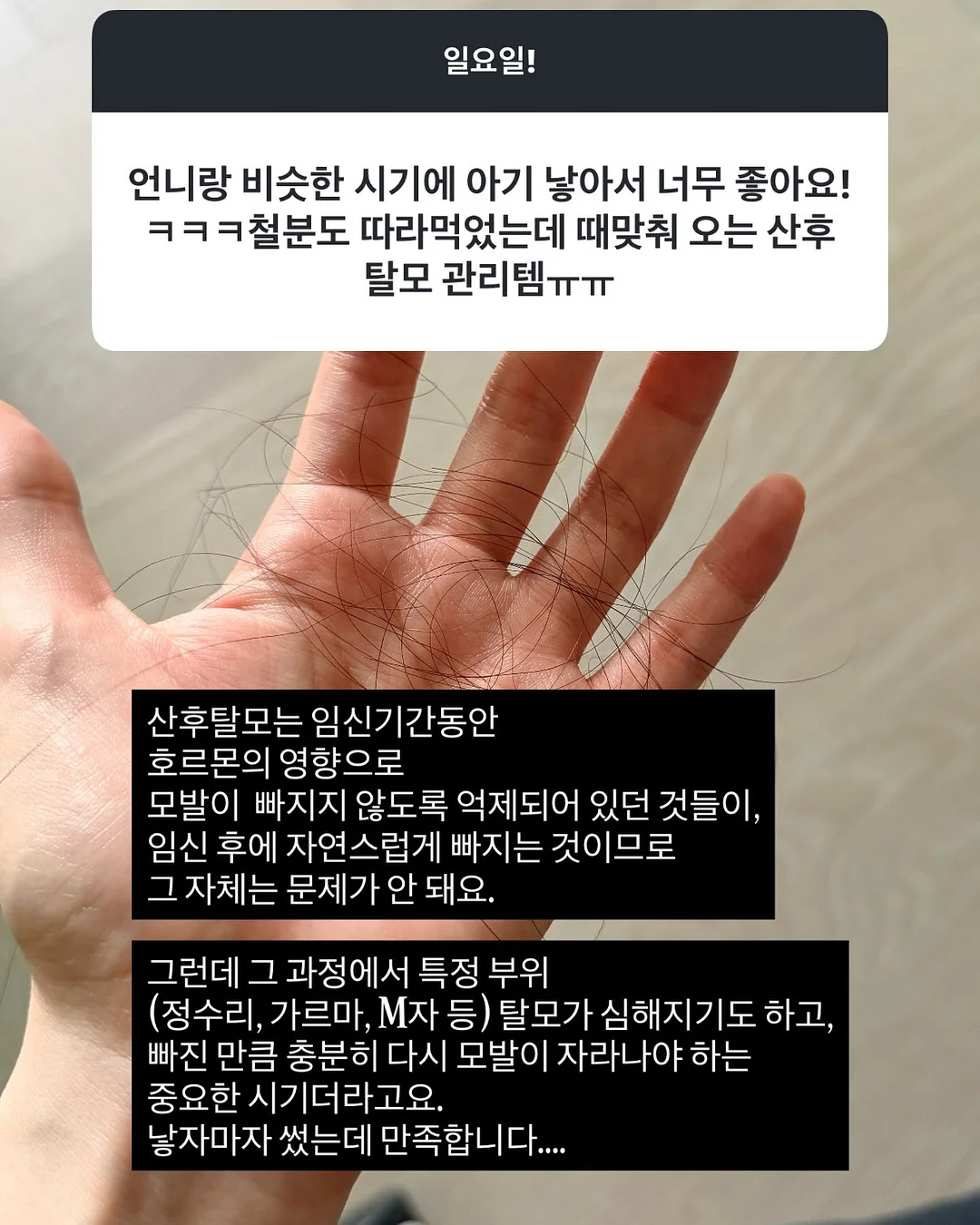 파우더 메탈 패디 7
