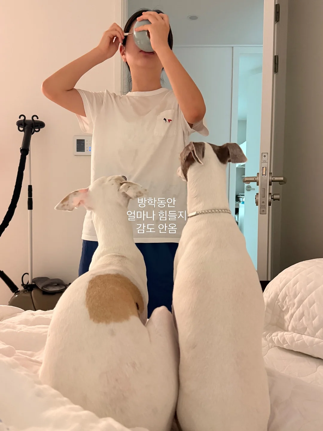 스탠리 텀블러 16