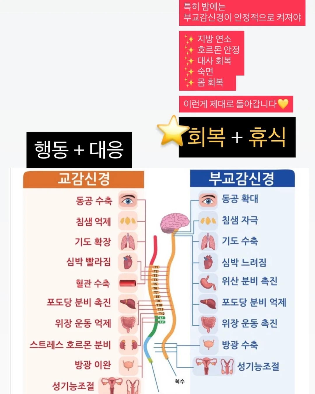 어린이 같은 말 다른 뜻 사전 11