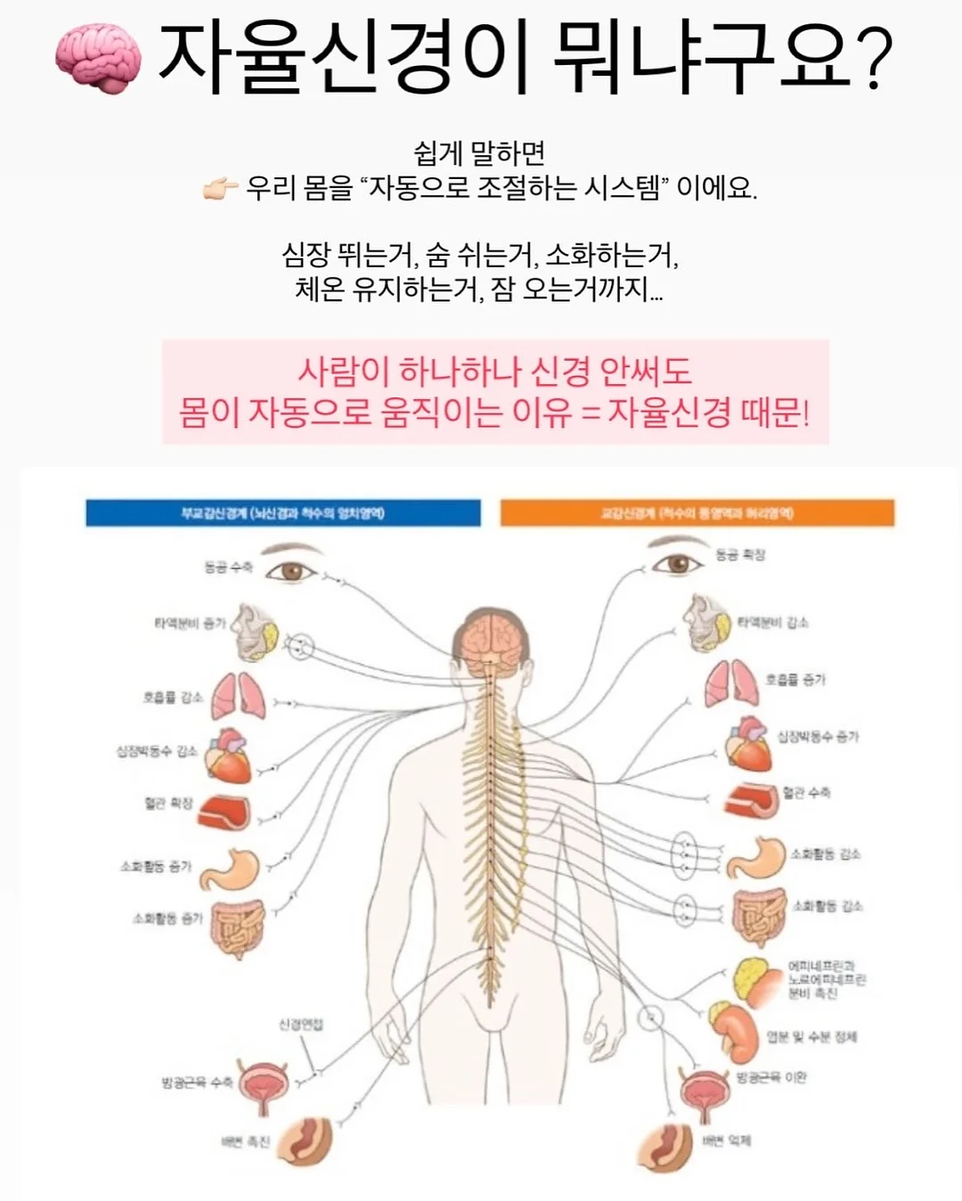 어린이 같은 말 다른 뜻 사전 8