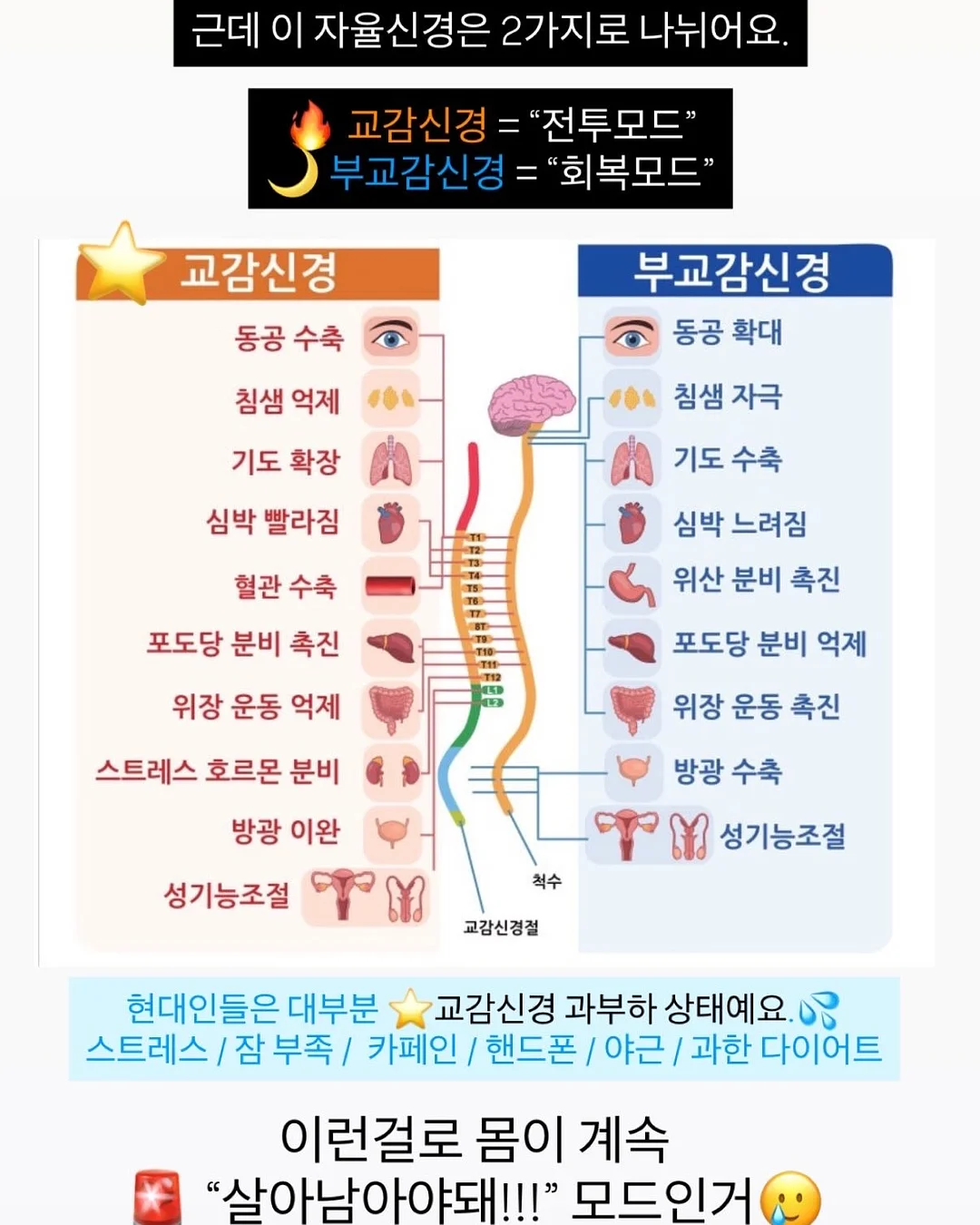 어린이 같은 말 다른 뜻 사전 9