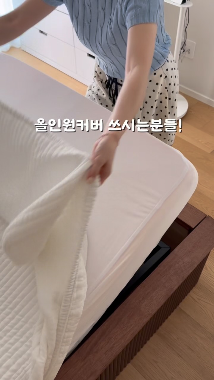 보성녹차김치 부추김치