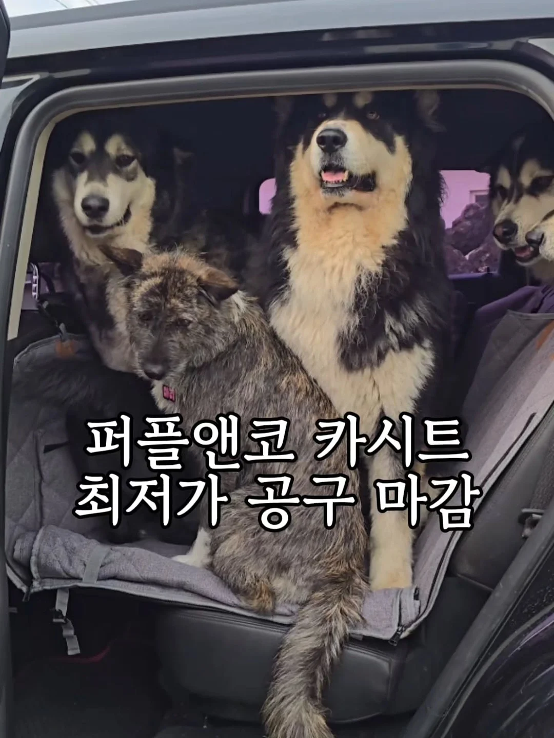 레이스 치마 1