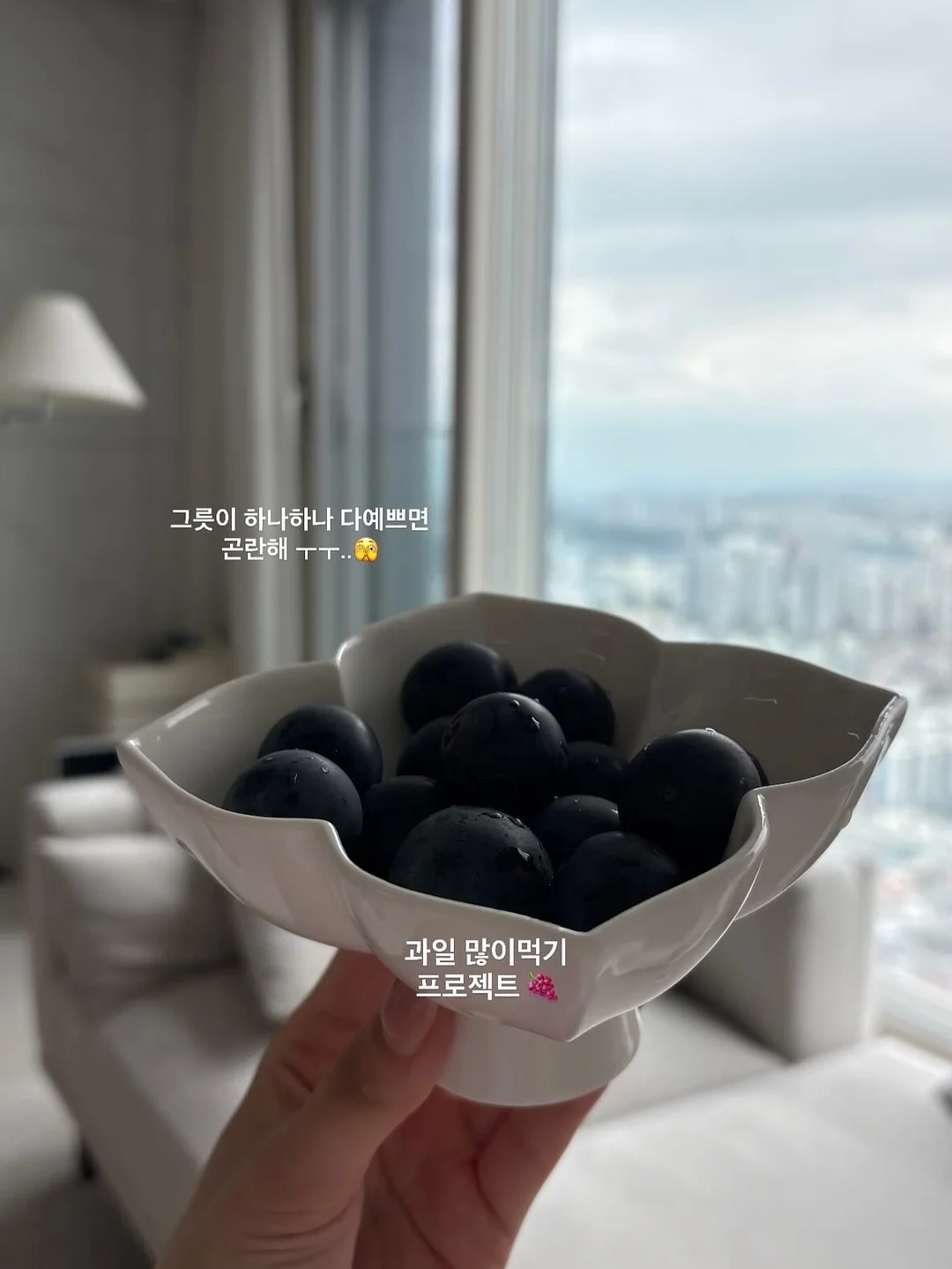 라클리어 효소 파우더 18