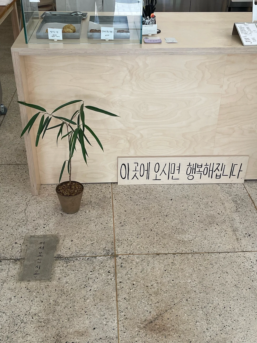 라클리어 효소 파우더 8