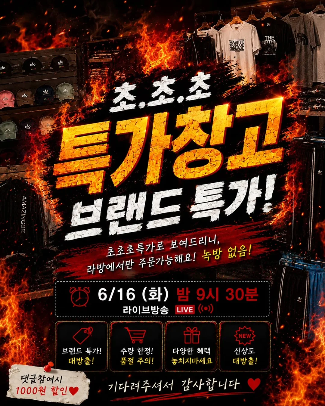 11월 예약