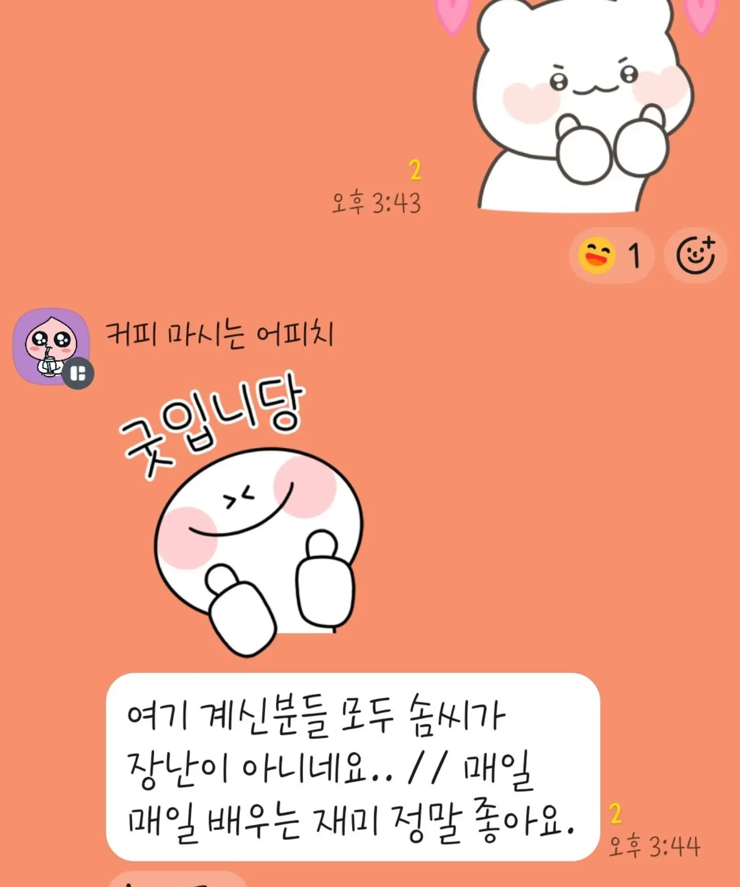카팬더 팬츠 8