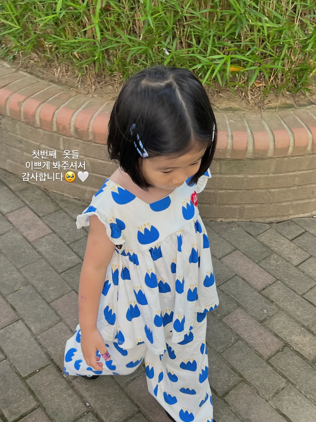 또래퀴즈 초등 국어 지식 영단어 퀴즈 백과 3