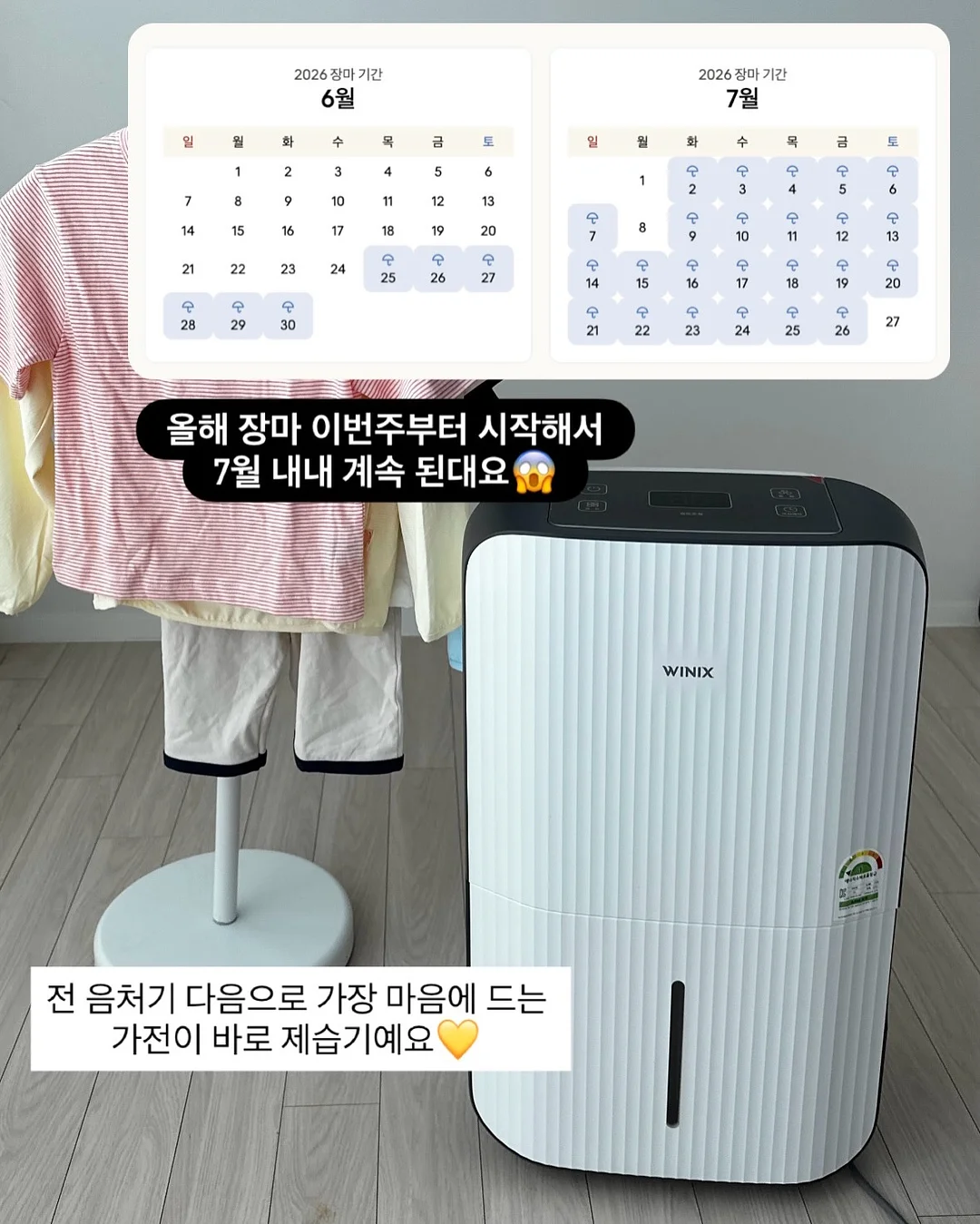 루시 단독 콘서트 13