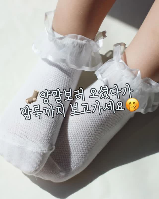 일회용 식탁보
