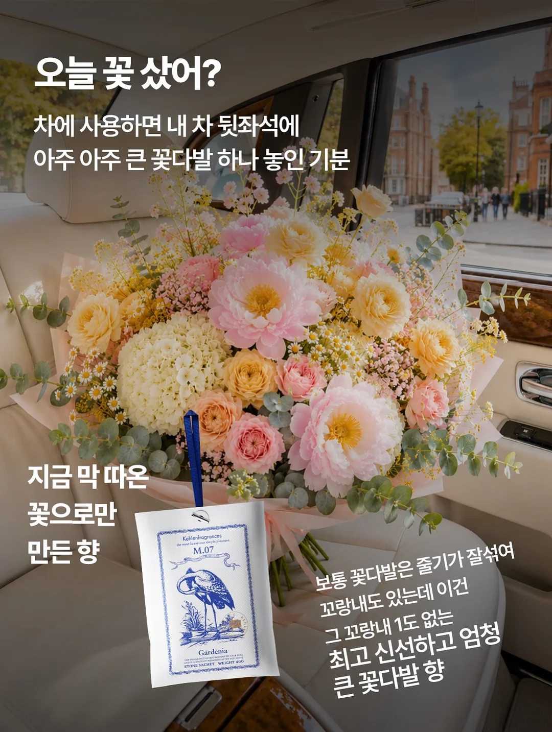 유산균 4