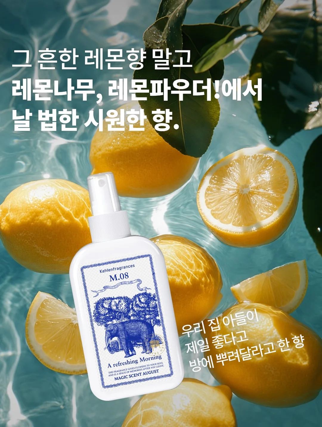 유산균 5
