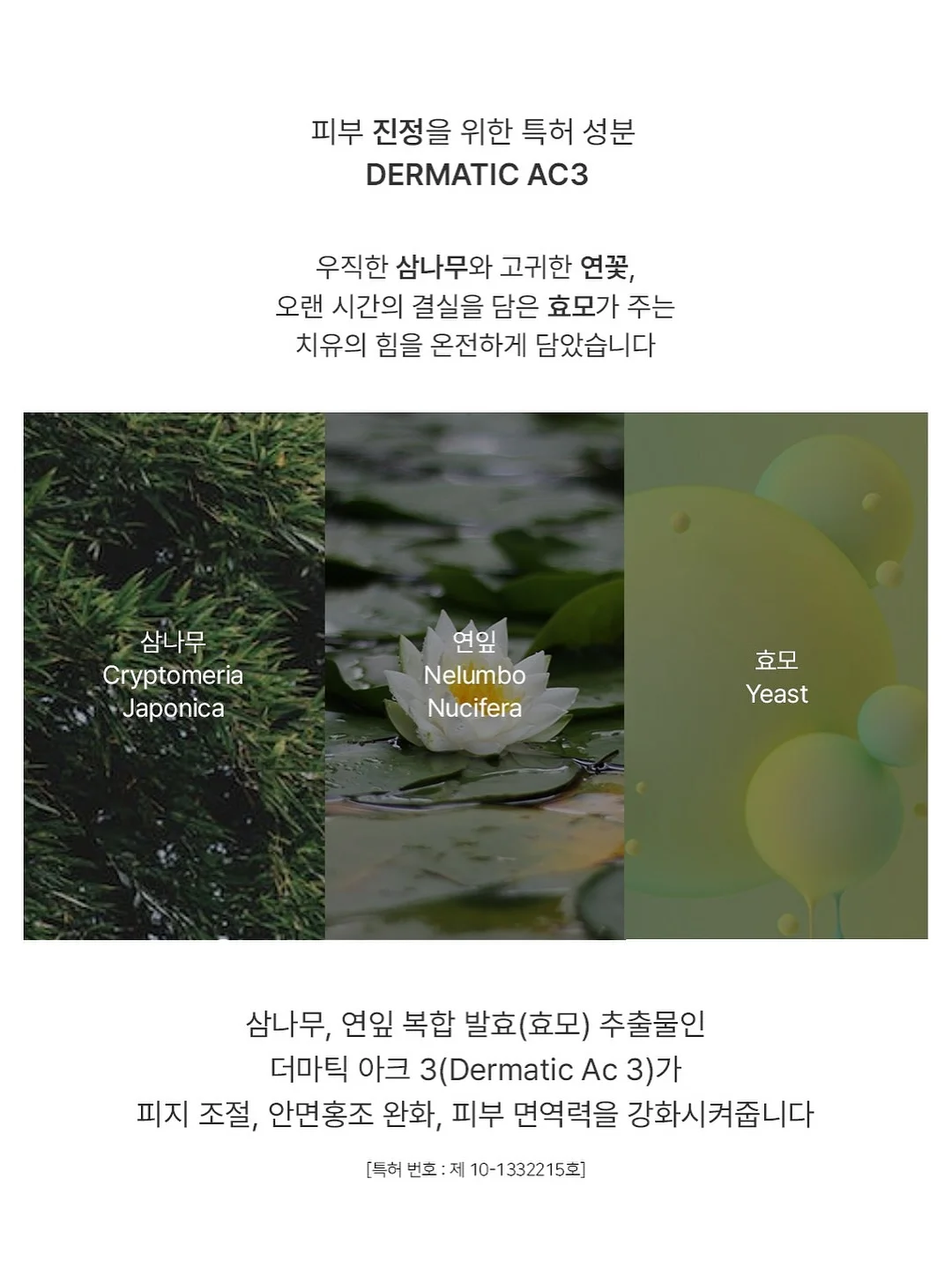 말랑이 15