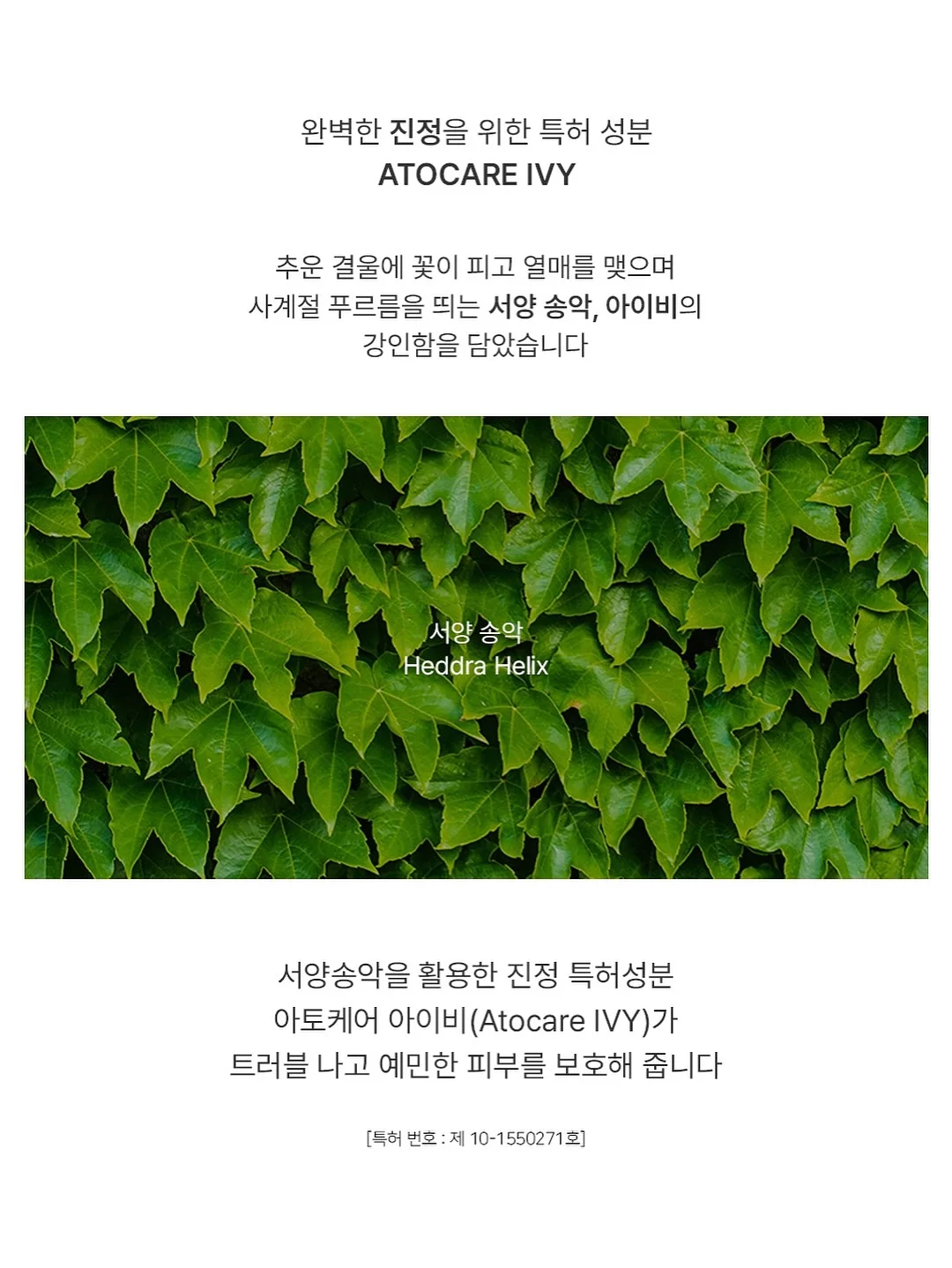 말랑이 16