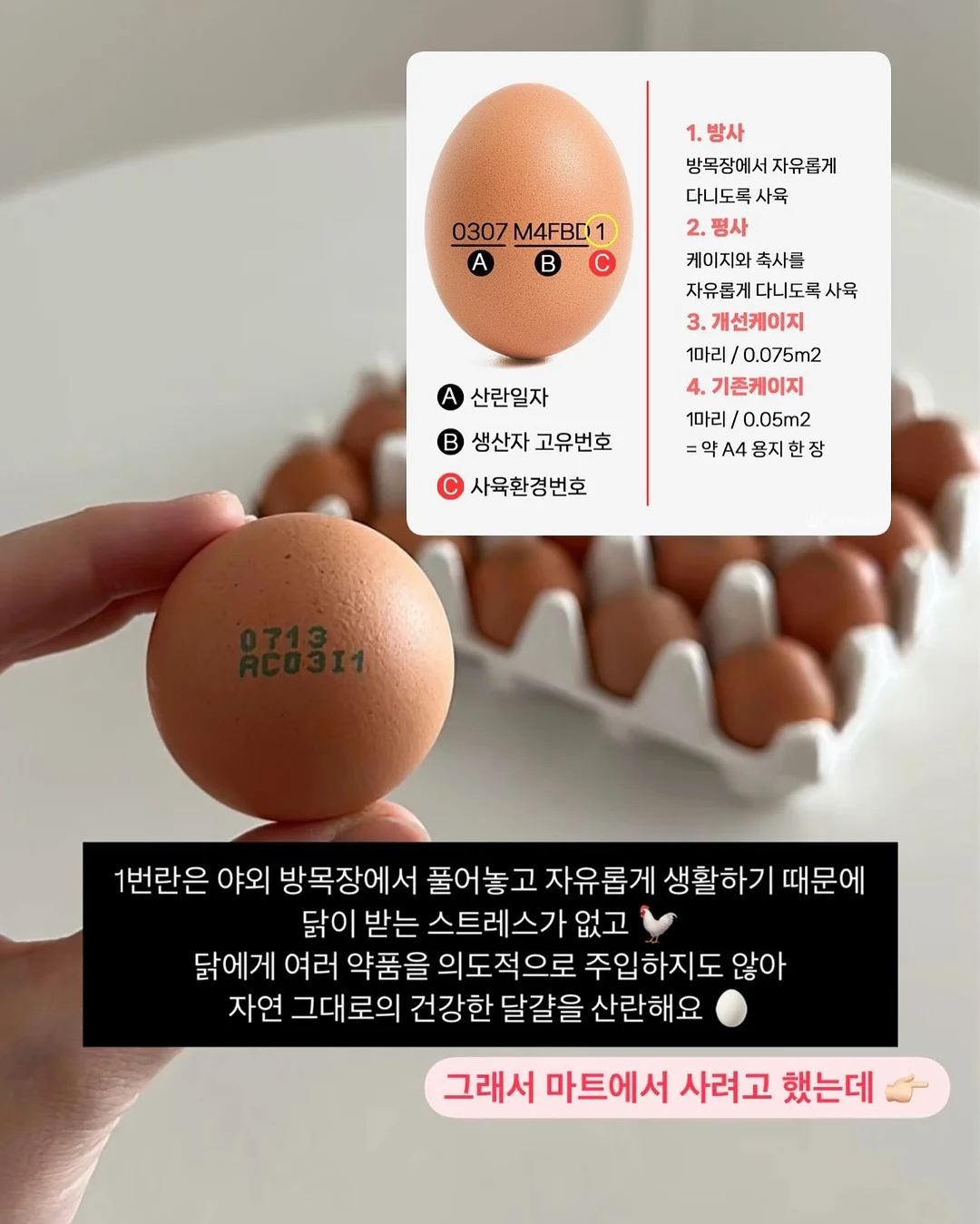 임신 준비 가이드 1탄 3