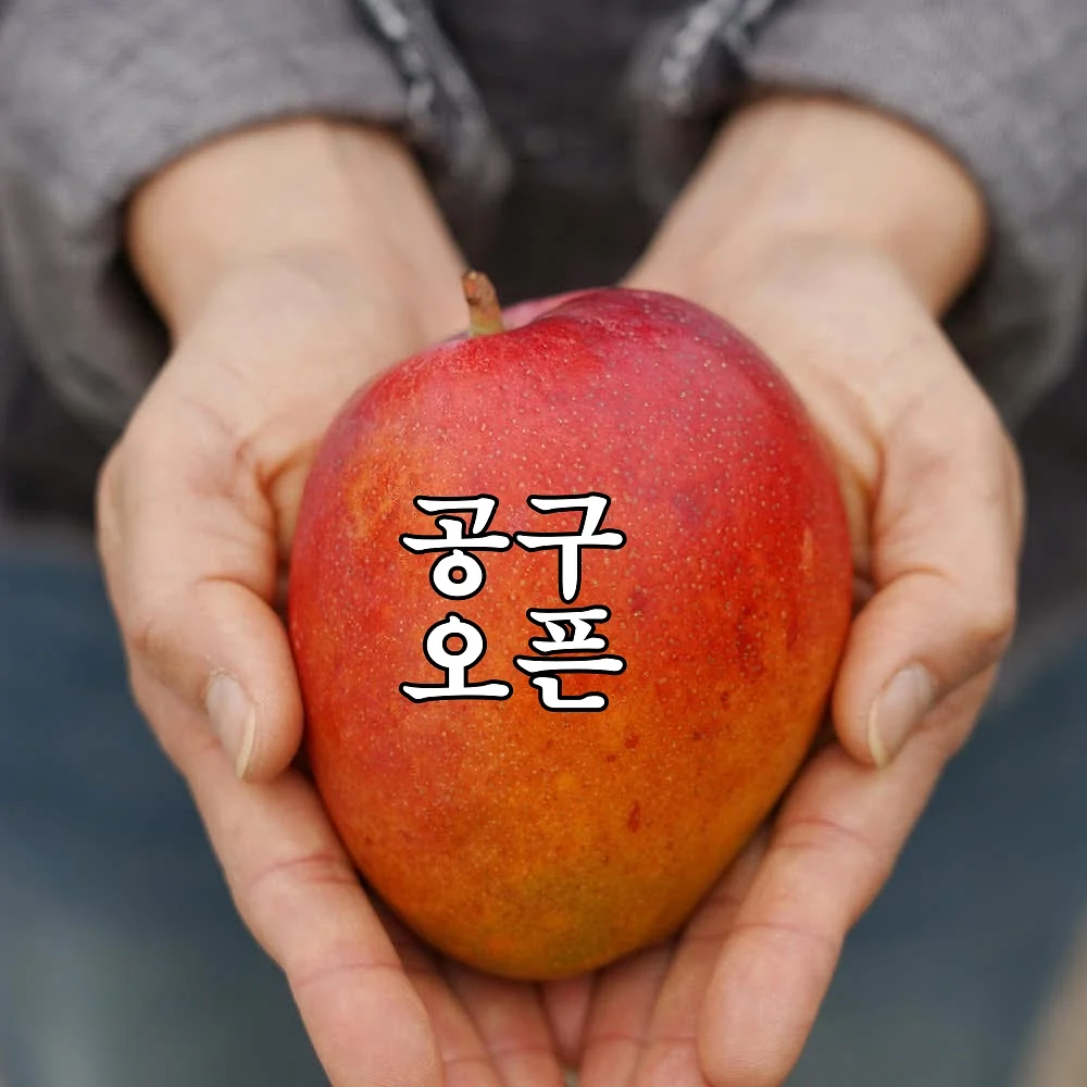 작고 단단한 마음 시리즈 1