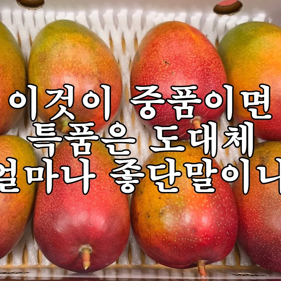 작고 단단한 마음 시리즈 2