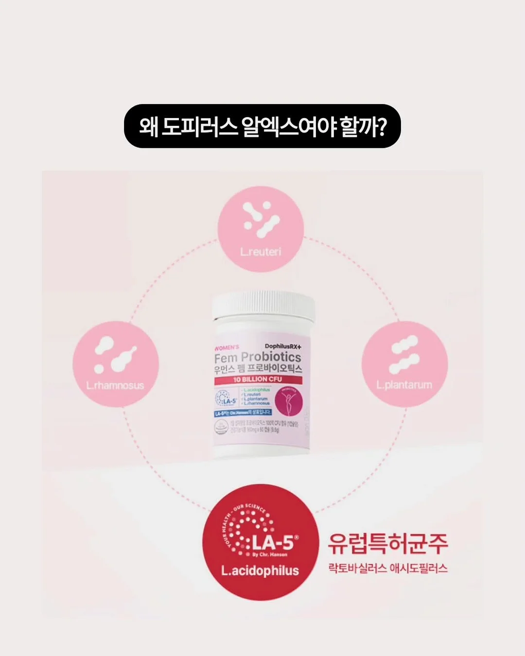 매직토이 13