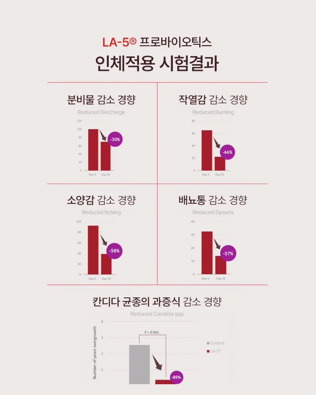 매직토이 17