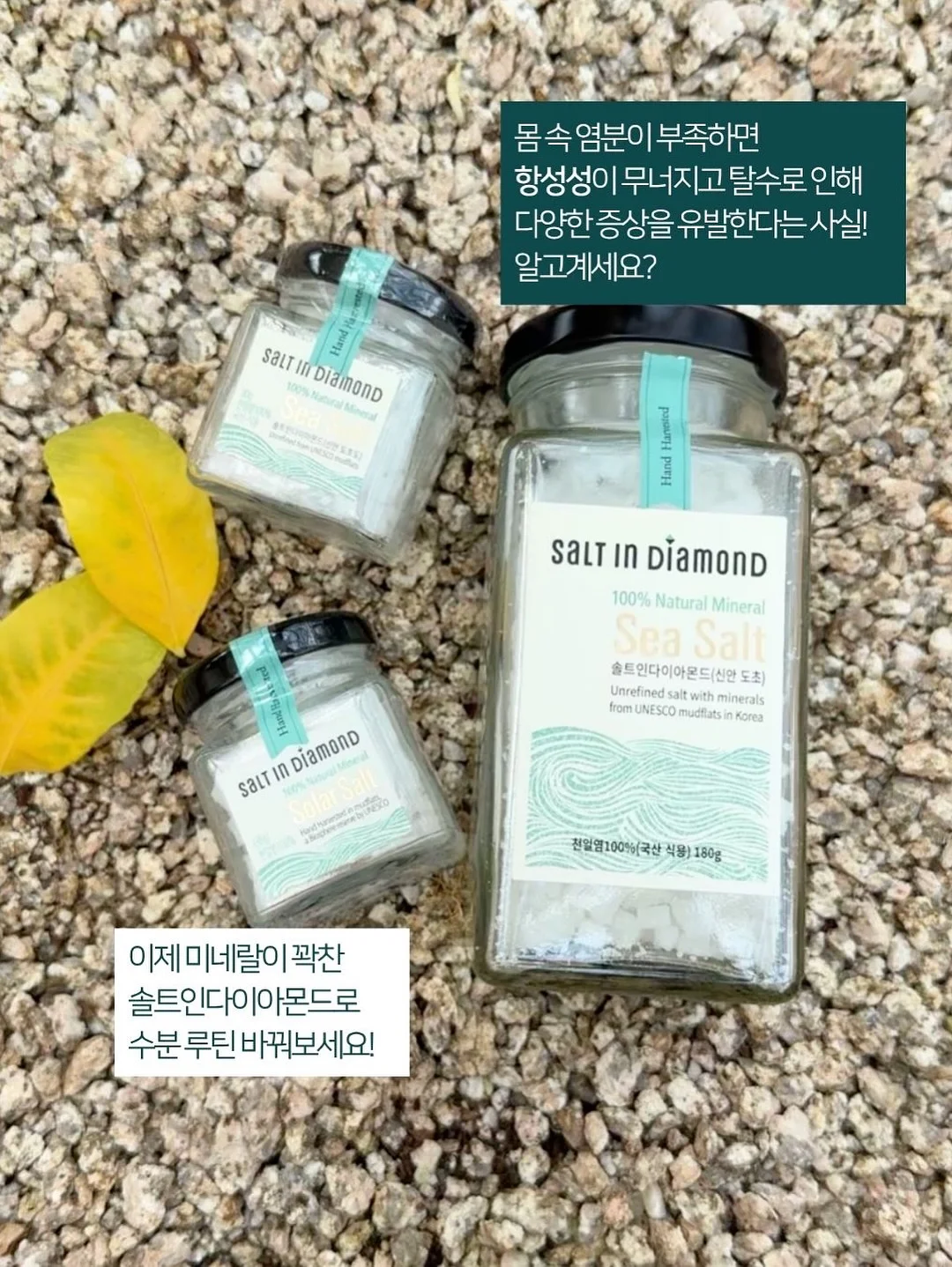 Be.Con 성인 취미 발레 11