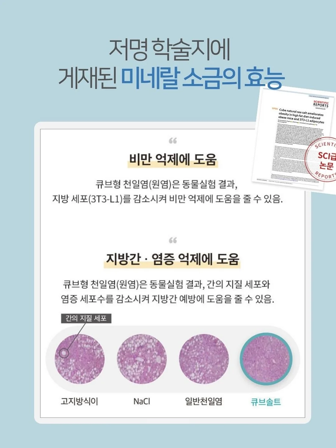 Be.Con 성인 취미 발레 15