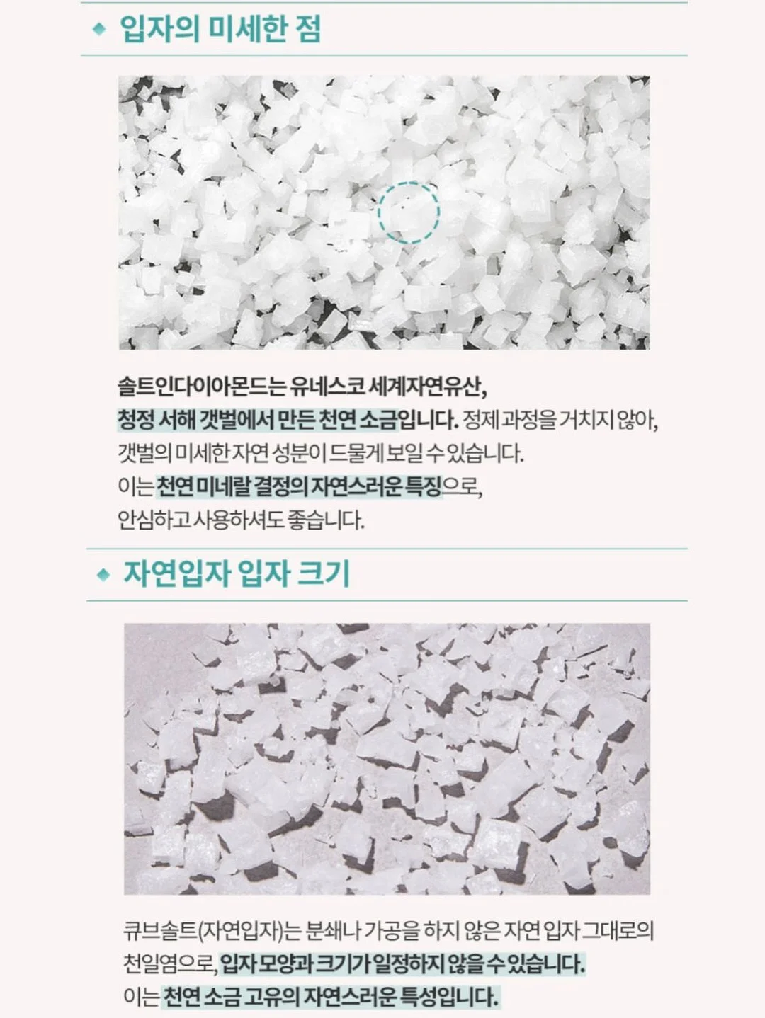 Be.Con 성인 취미 발레 19