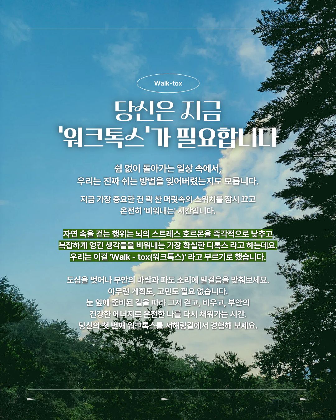 사파 CD/DVD 플레이어 3