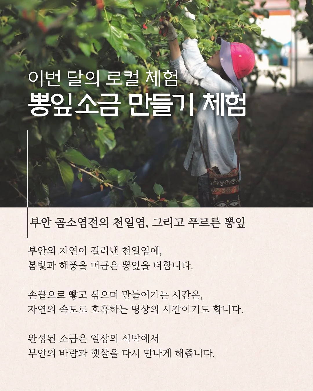 사파 CD/DVD 플레이어 6