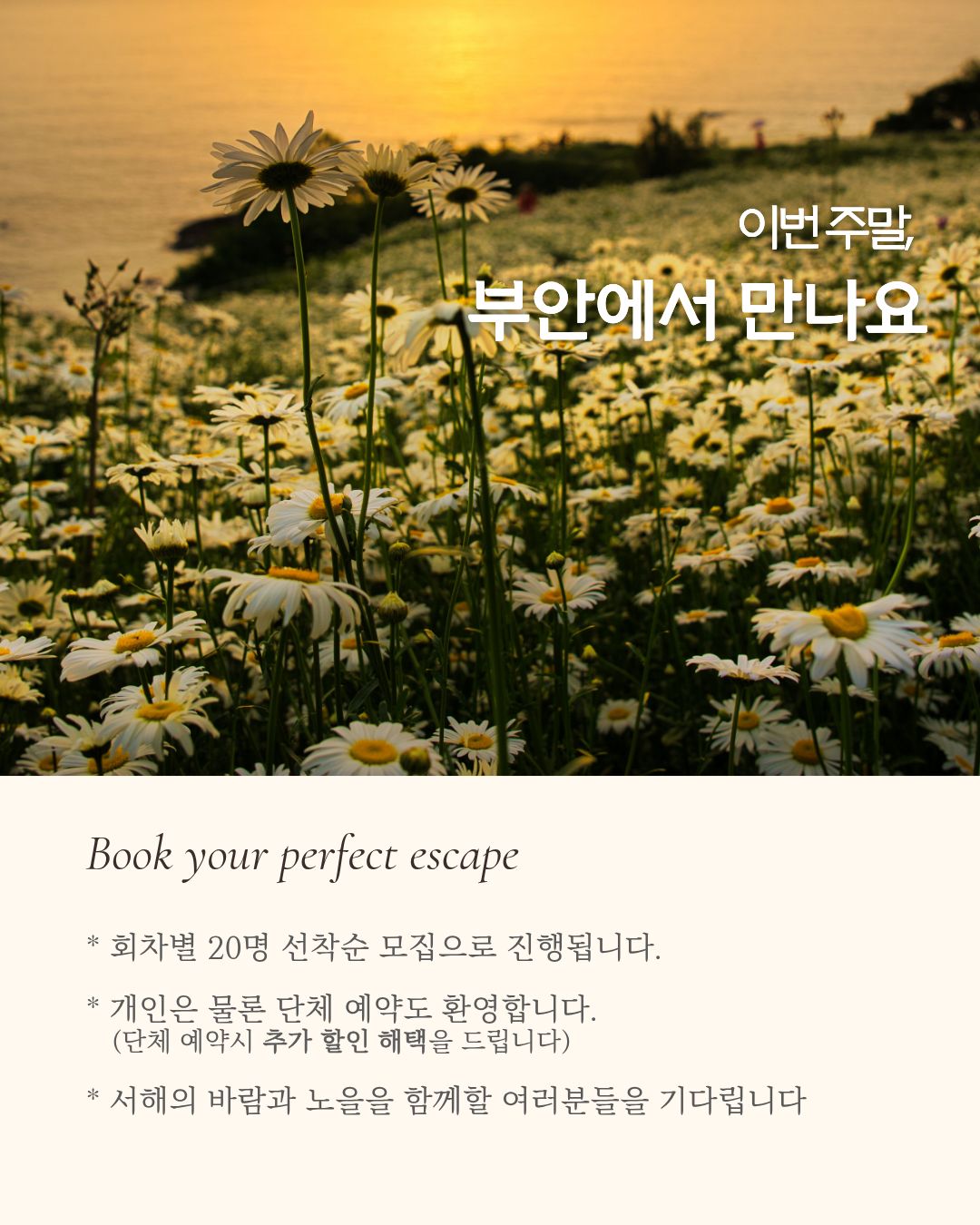 사파 CD/DVD 플레이어 8