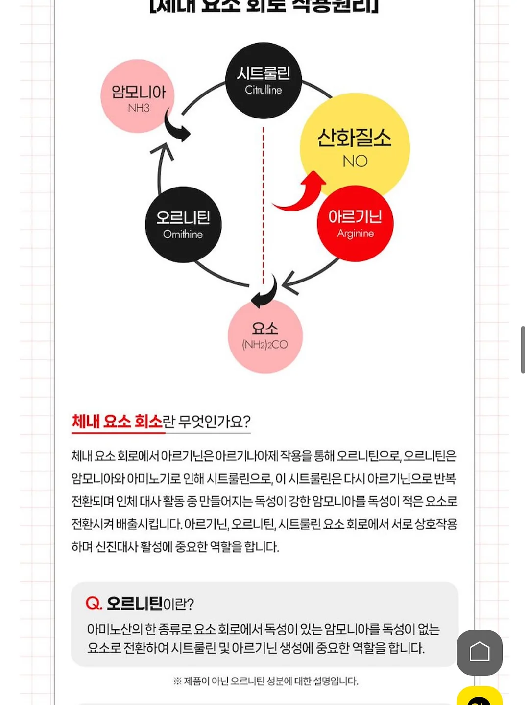 남자 코디 16