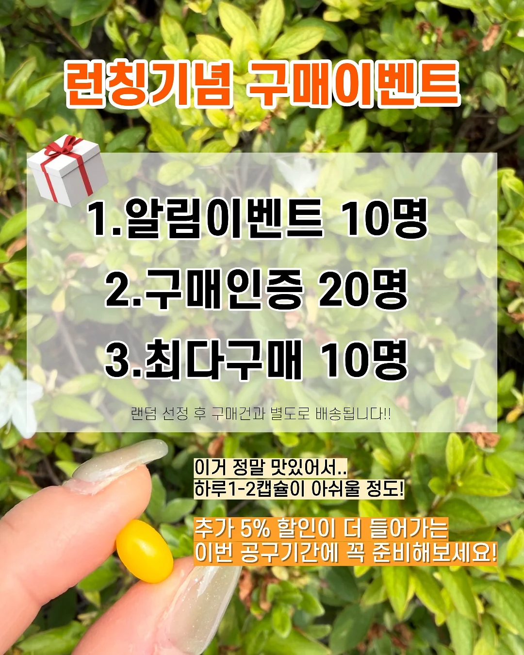 히어로 의류 6