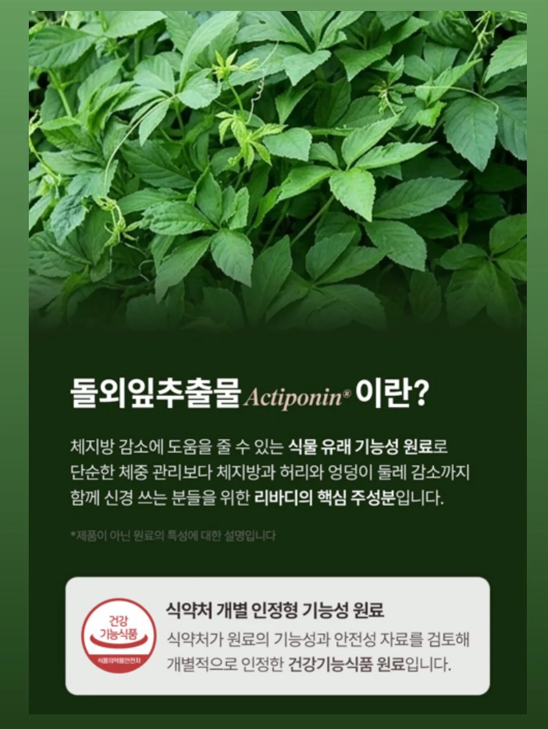 멤피스 체어 7