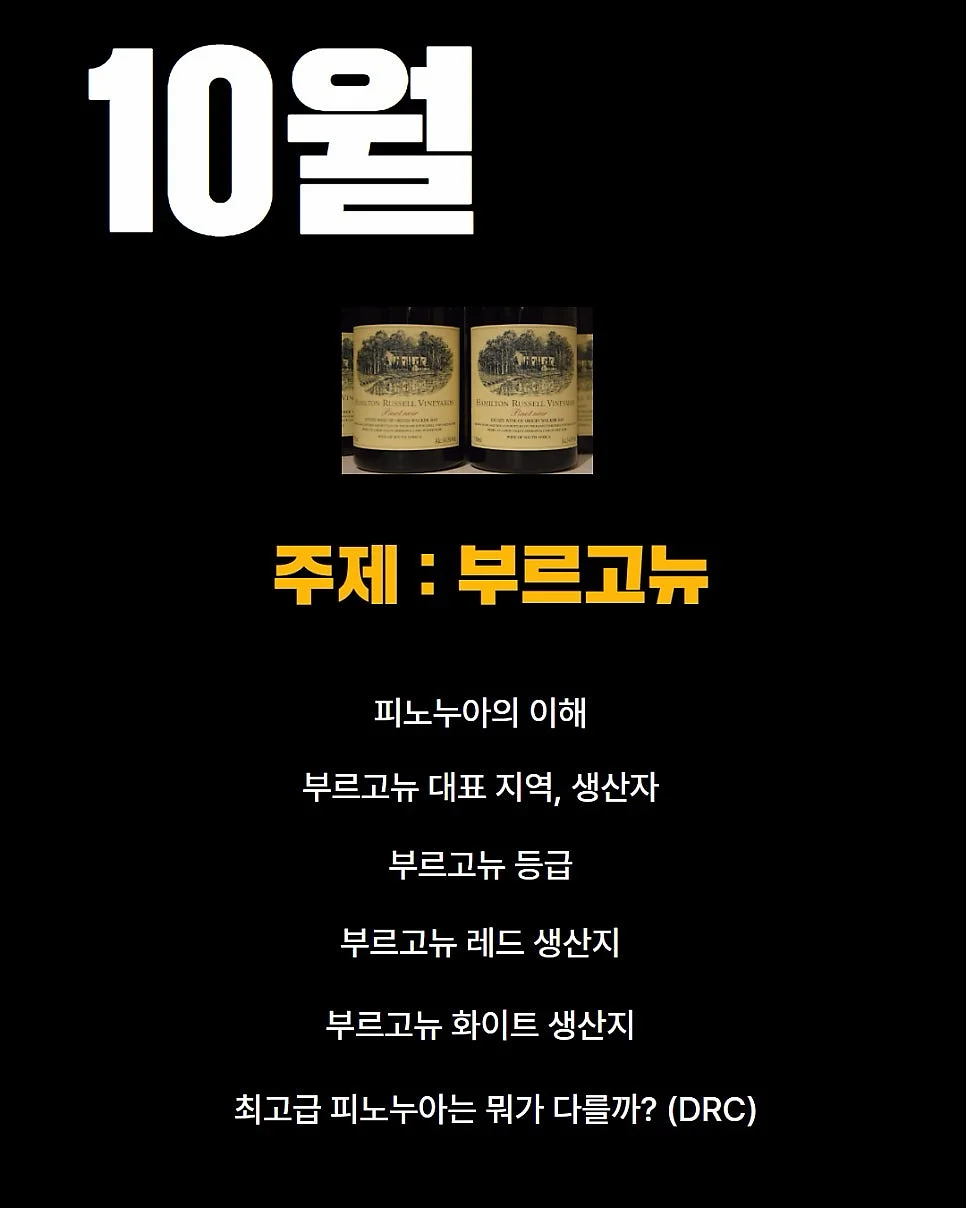 토도 영어, 토도 한글 이용권 11