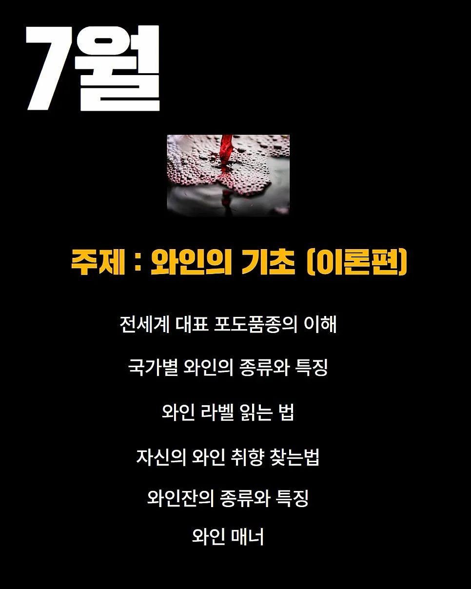 토도 영어, 토도 한글 이용권 8