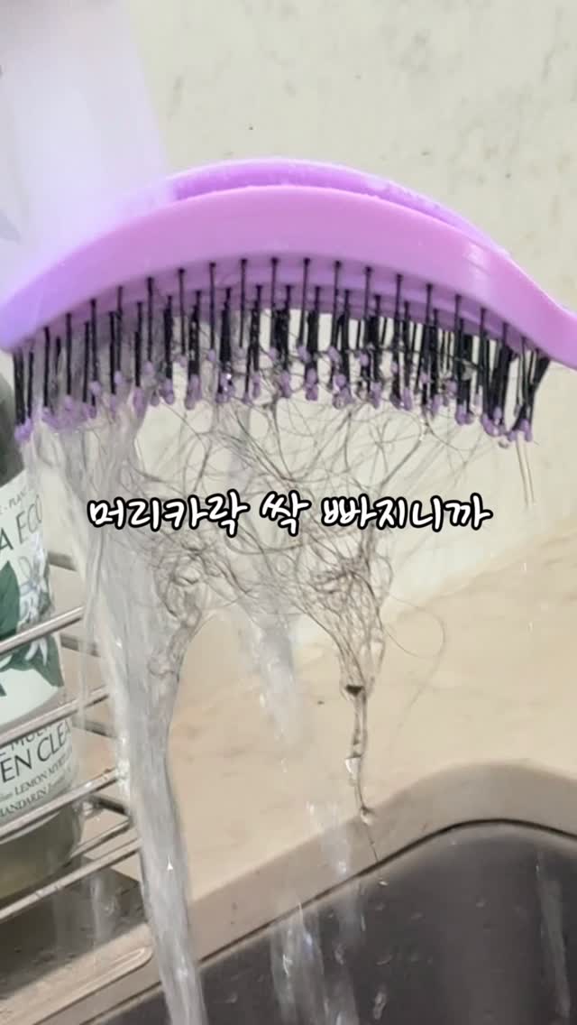 민화 호작도 뷔스티에