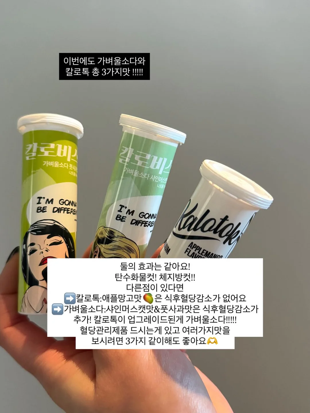 휘닉스 세일 페스타 3