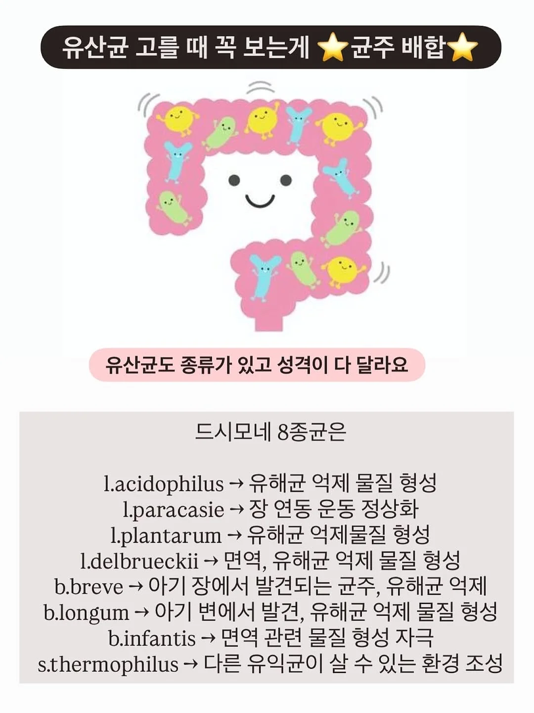 다이슨 슈퍼소닉 트래블 헤어드라이어 5