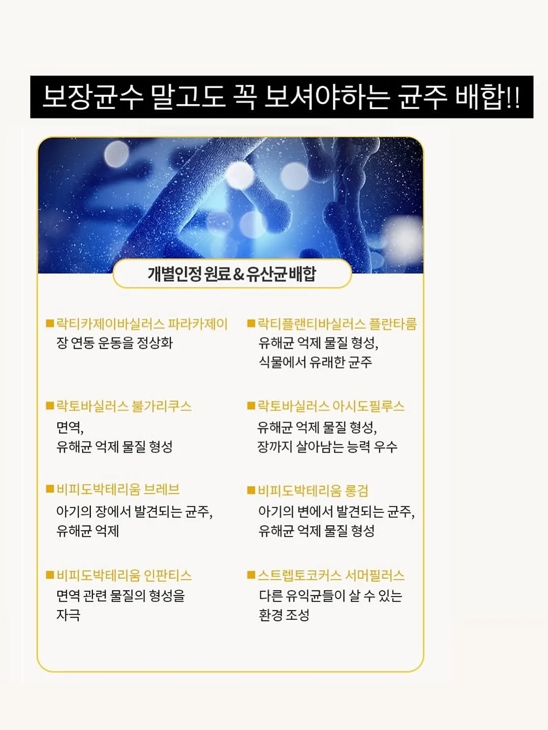 다이슨 슈퍼소닉 트래블 헤어드라이어 6