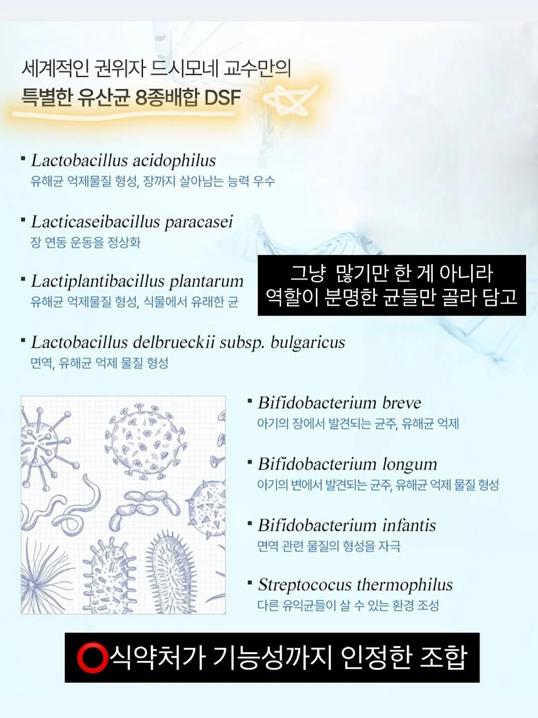 다이슨 슈퍼소닉 트래블 헤어드라이어 7