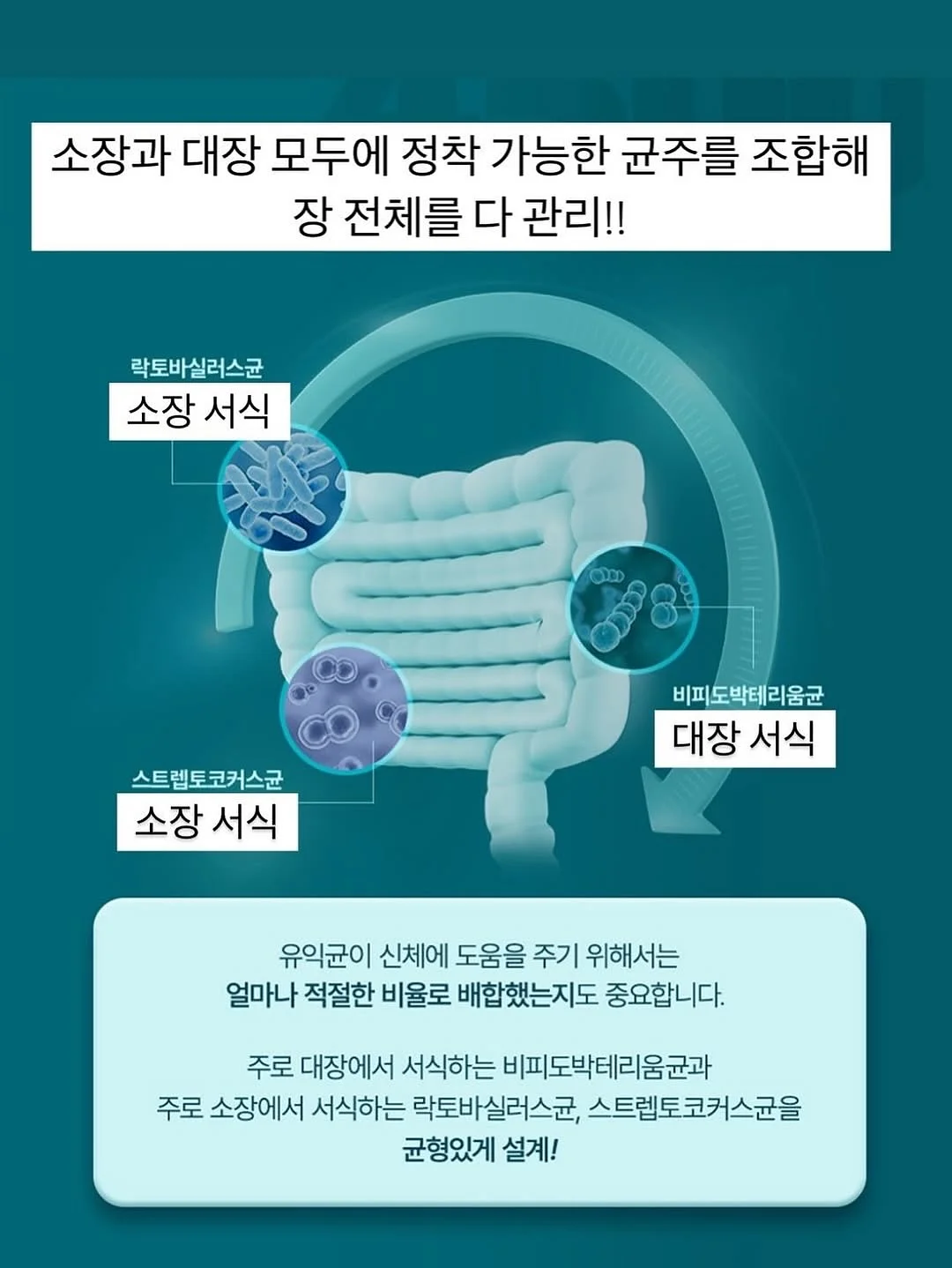 다이슨 슈퍼소닉 트래블 헤어드라이어 8