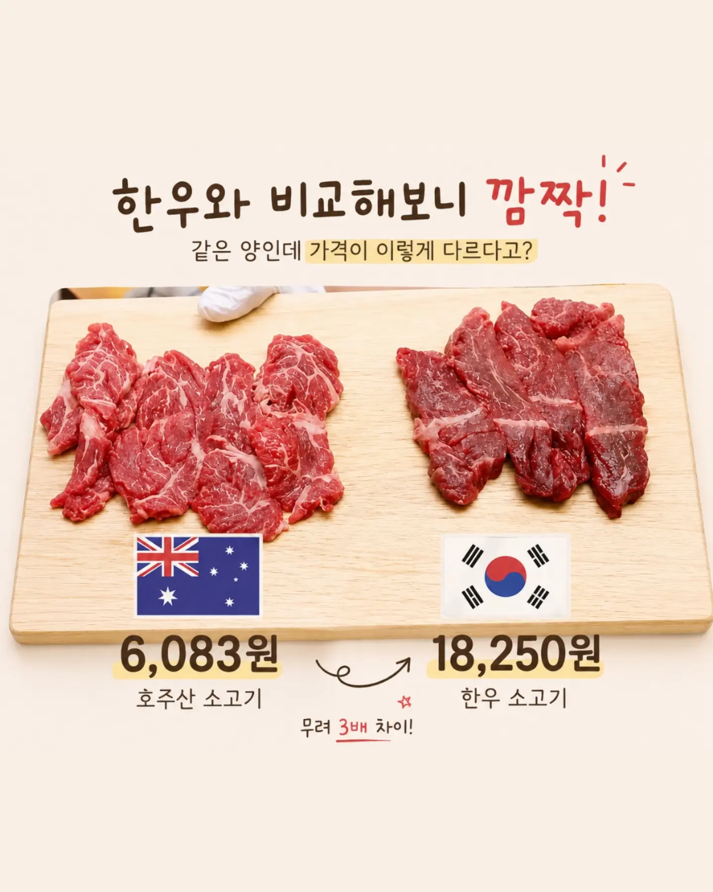 코랄리크 스윔웨어 2