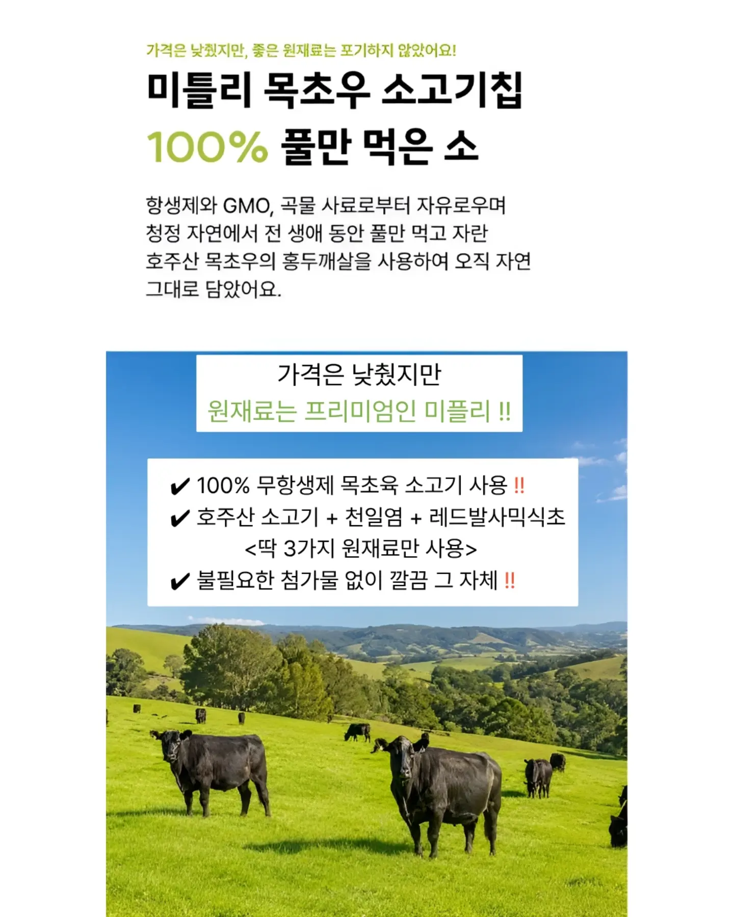 코랄리크 스윔웨어 7