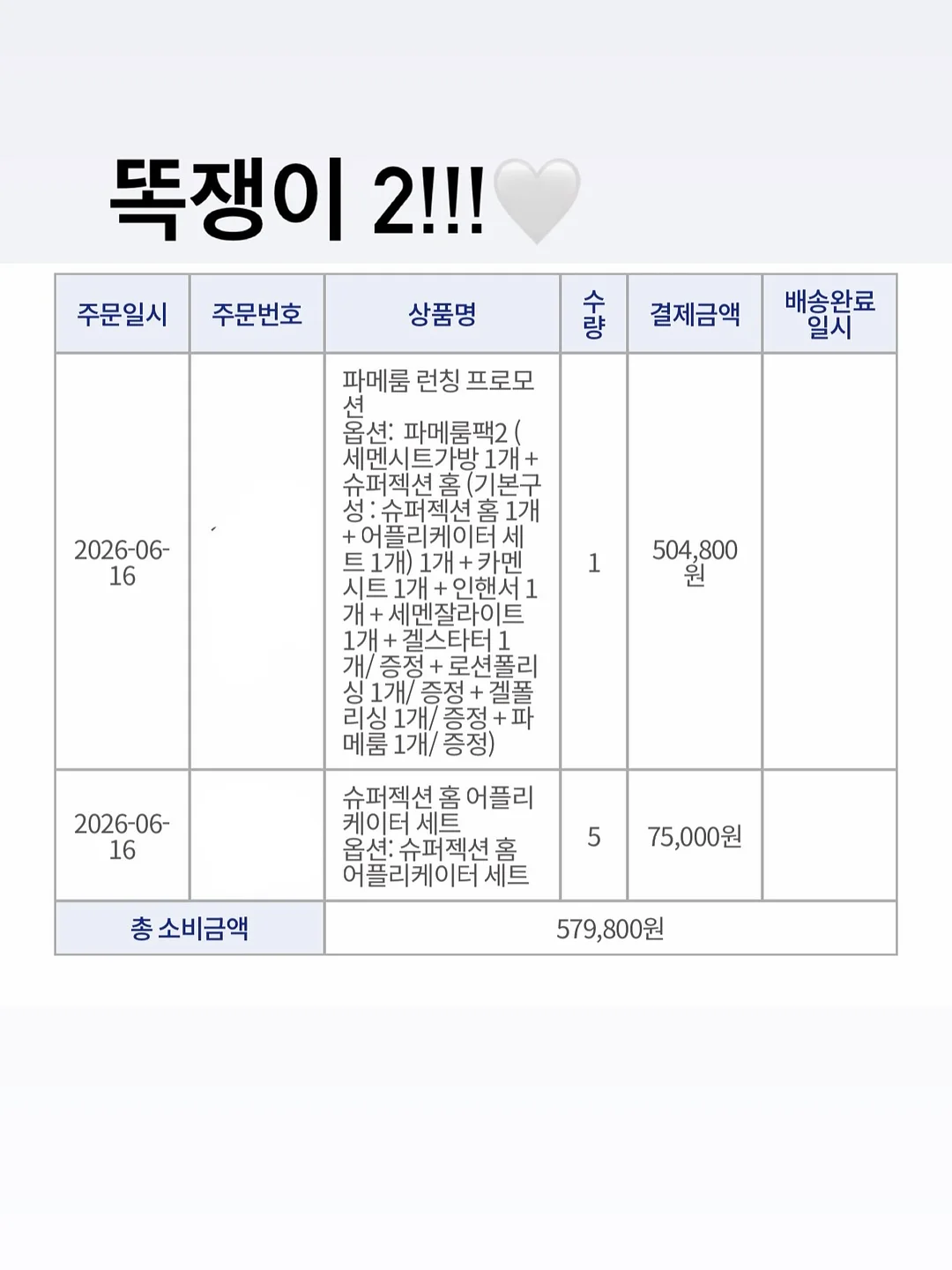 토모에 실키 레이스 뷔스티에 5