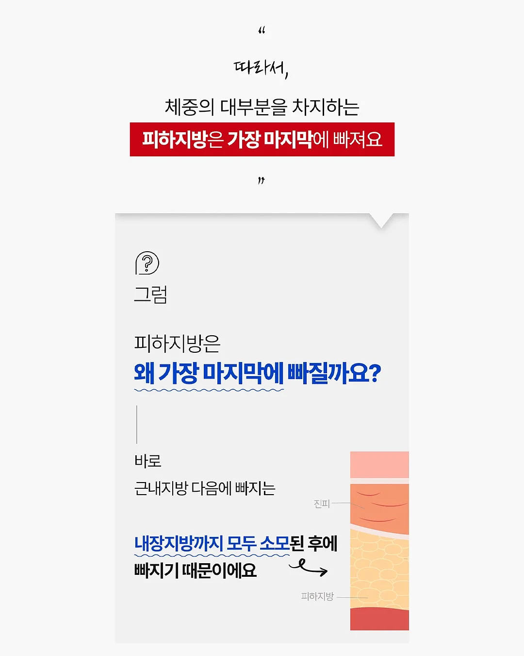 대왕파 케이크 10