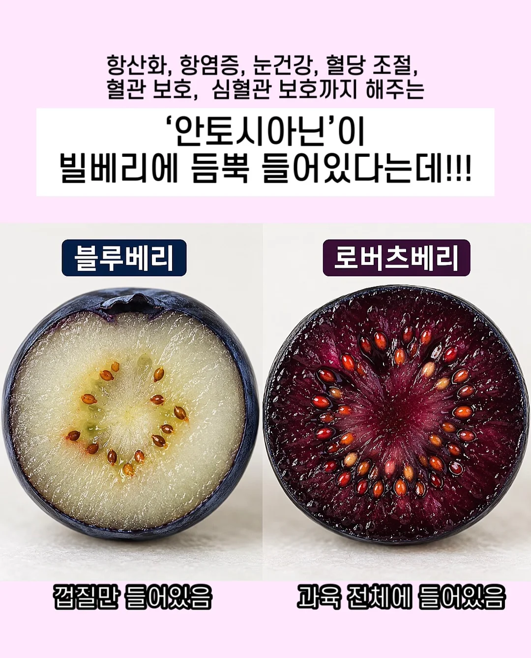 웨딩스냅 촬영 10